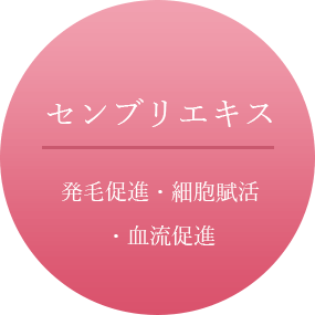 【センブリエキス】発毛促進・細胞賦活・血流促進