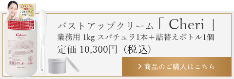 バストアップクリーム「Cheri」業務用 1kg スパチュラ1本＋詰替えボトル1個